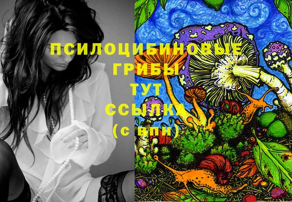 spice Бородино