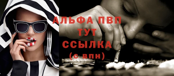 spice Бородино