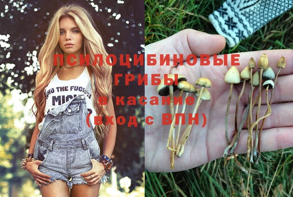 ешки Бронницы