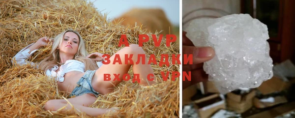 spice Бородино