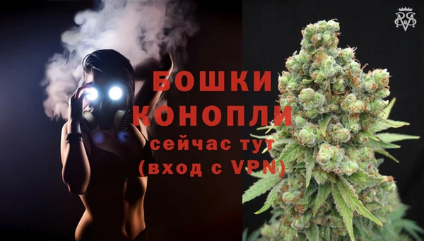 трава Верея