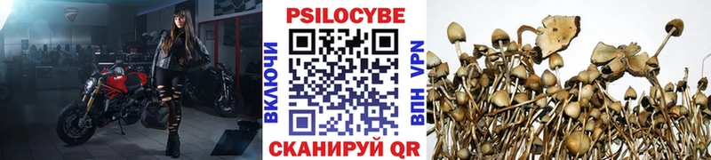 цены   Балашиха  Псилоцибиновые грибы мухоморы 