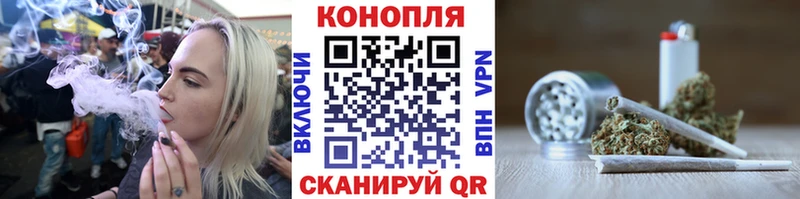 Канабис сатива  Балашиха 